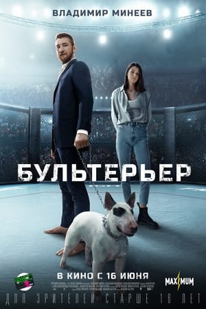 Бультерьер poszter