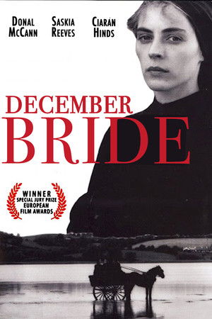 December Bride poszter