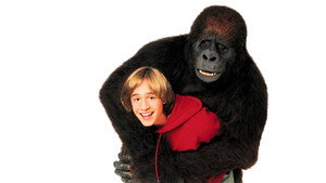 Én és a gorillám háttérkép