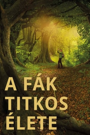 A fák titkos élete