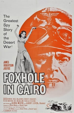 Foxhole in Cairo