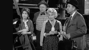 Petticoat Junction 2. évad Ep.20 20. epizód