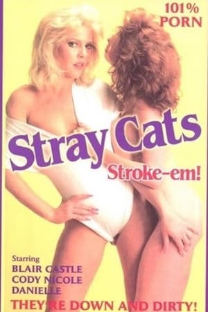 Stray Cats poszter