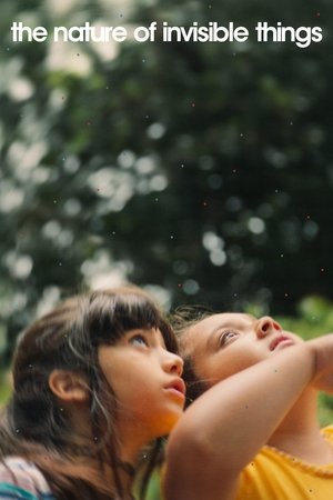 A Natureza das Coisas Invisíveis poszter