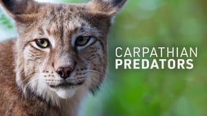 Carpathian Predators kép