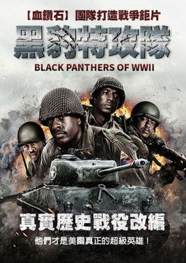 Black Panthers of WWII poszter