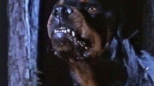 Dogs of Hell háttérkép