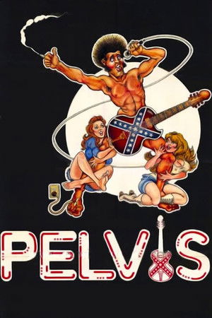 Pelvis poszter