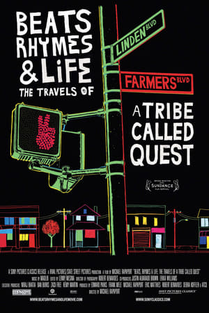 Beats Rhymes & Life: The Travels of A Tribe Called Quest poszter