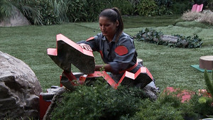 Big Brother Season 15 Ep.15 15. epizód