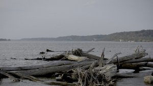 Smallpox Island háttérkép