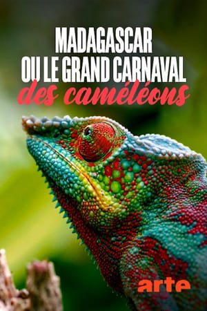 Madagascar or the Great Carnival of the Cameleons poszter