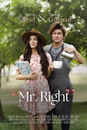 Mr. Right poszter