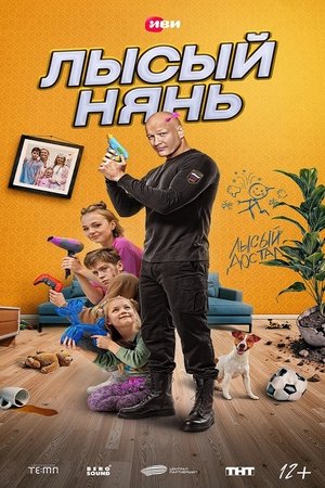 Лысый нянь poszter