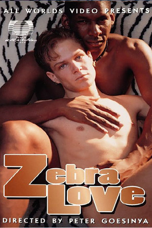 Zebra Love poszter