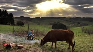 La Vache háttérkép