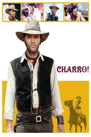 Charro! poszter