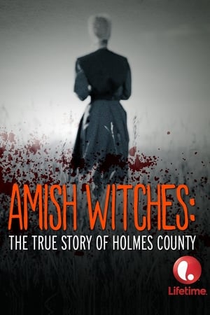 Amish Witches: The True Story of Holmes County poszter