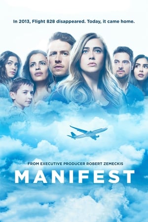 Manifest poszter