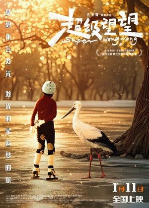 超级望望 poszter