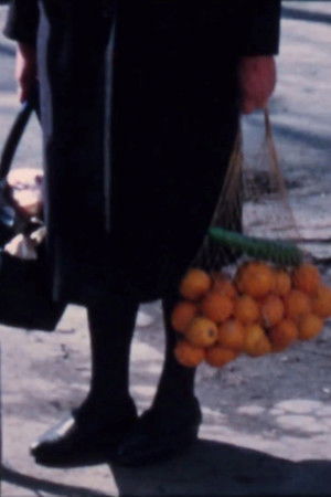 Terra Femme poszter