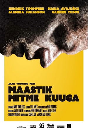 Maastik mitme kuuga poszter