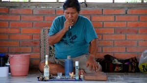 The Shaman & Ayahuasca: Journeys to Sacred Realms háttérkép