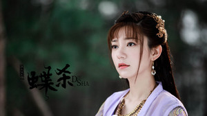 新包青天之蝶杀 háttérkép