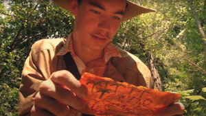 Wisconsin Johnson and the Lucky Bone háttérkép
