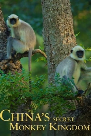 China's Secret Monkey Kingdom poszter