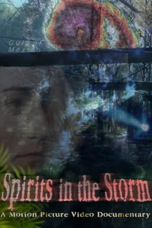 Spirits in the Storm poszter