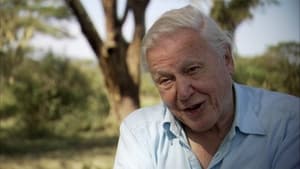 David Attenborough: Afrika Speciális epizódok Ep.10 10. epizód