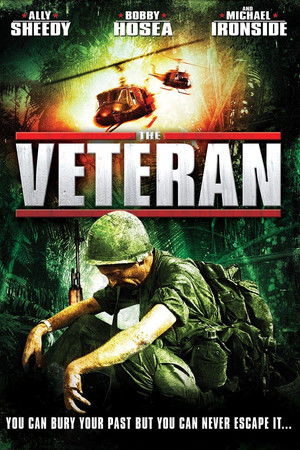 A veterán: Kísért a múlt poszter