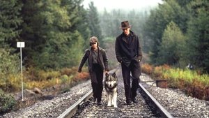 Natty Gann utazása háttérkép