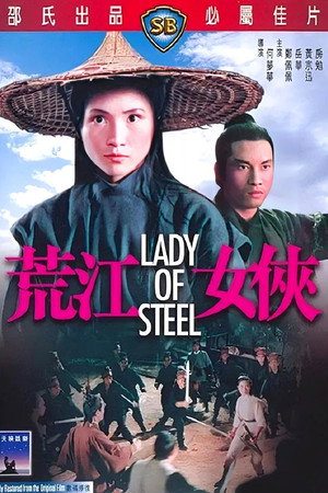 荒江女俠 poszter