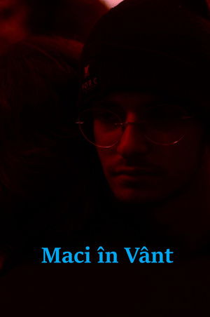 Maci în Vânt poszter