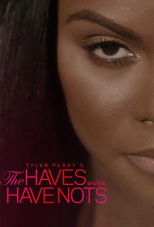 Tyler Perry's The Haves and the Have Nots poszter