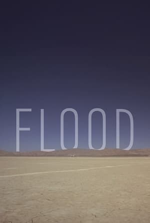 Flood