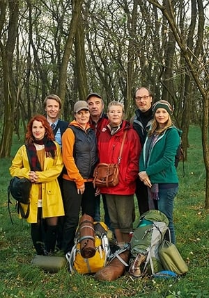 Mit Burnout durch den Wald poszter