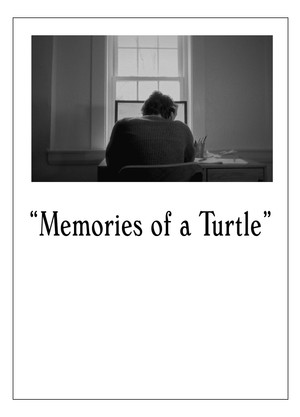 Memories of a Turtle poszter