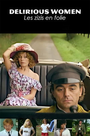 Les zizis en folie poszter