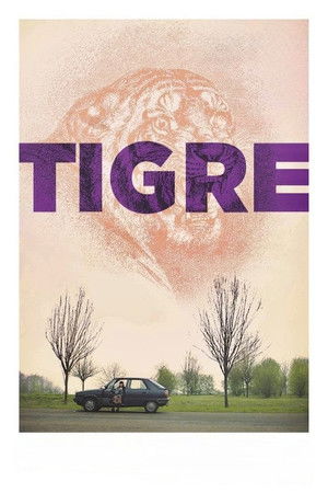 Tigre poszter