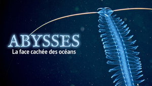 Abysses, la face cachée des océans háttérkép