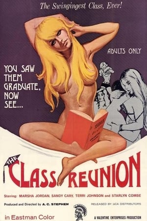 Class Reunion poszter