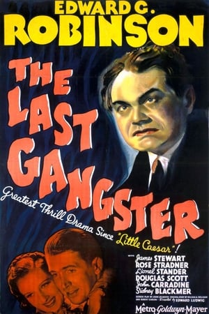 The Last Gangster poszter