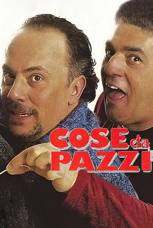 Cose da pazzi poszter