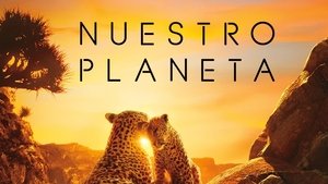 Our Planet – Bolygónk csodái kép