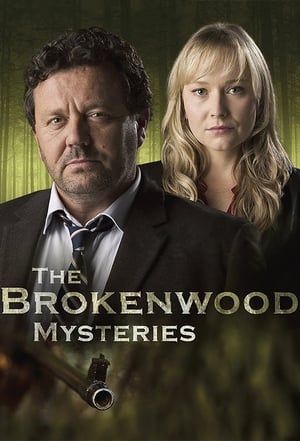 Brokenwood titkai poszter