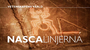 Vetenskapens värld 49. évad Ep.15 15. epizód