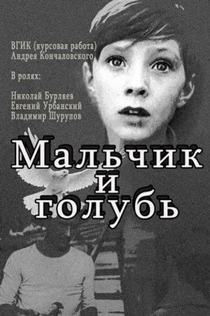 Мальчик и голубь poszter